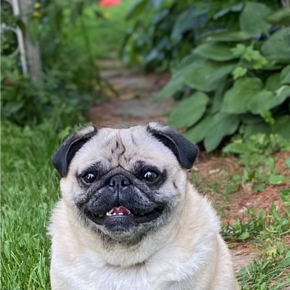 Meet your Posher, Sarah - Picture 1 of 1